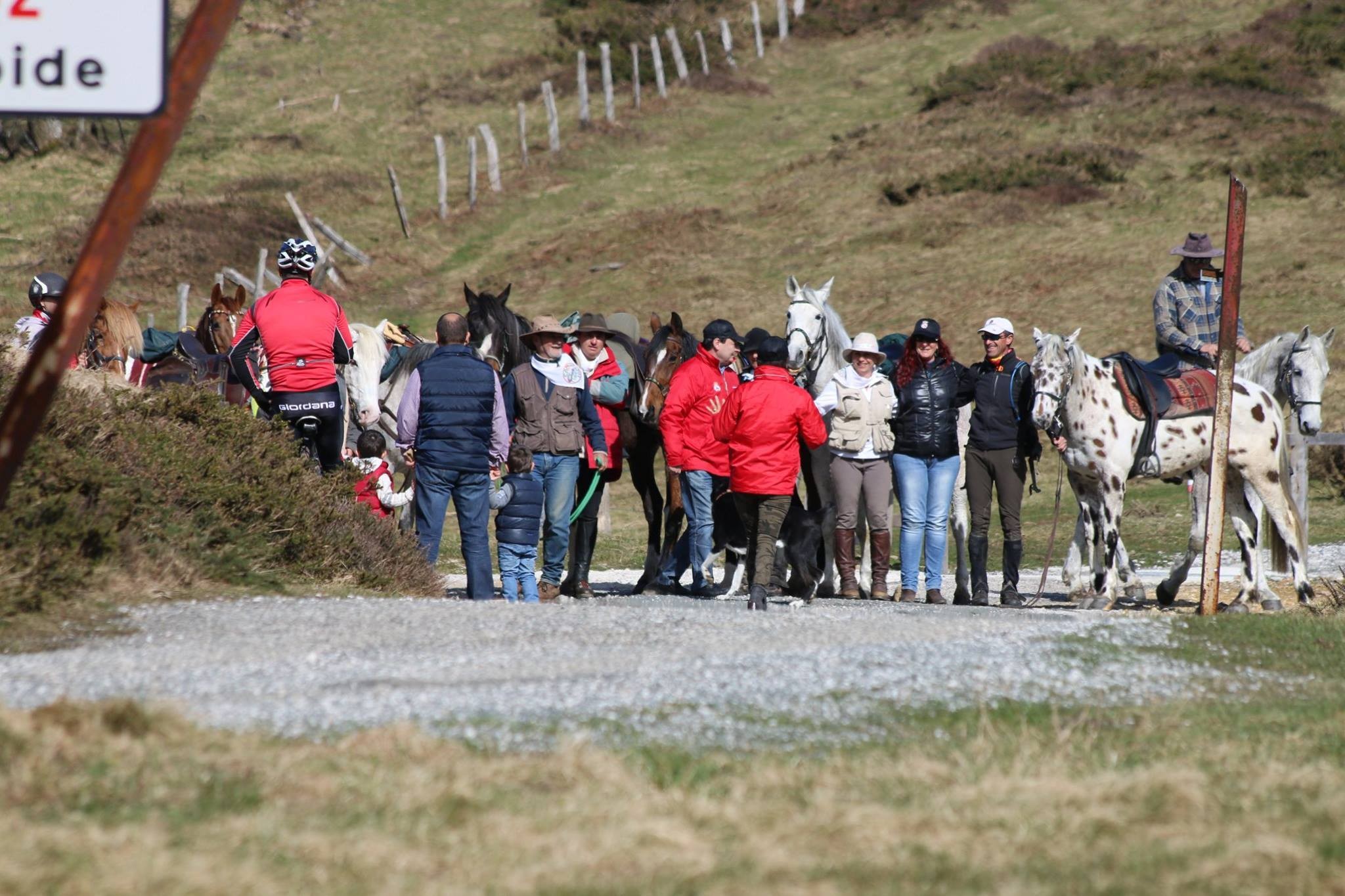 Camino del Rocío a través de Navarra